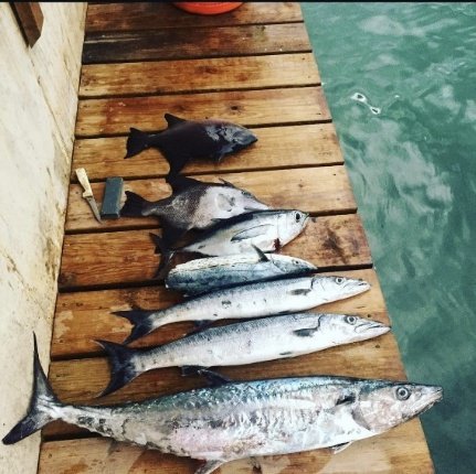 Fishing catch