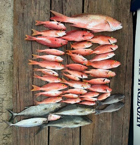 Fresh fish